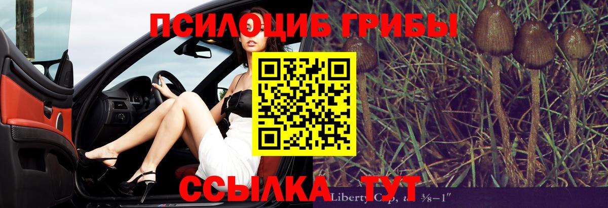 Великий Новгород  Псилоцибиновые грибы Psilocybe  Вход с VPN 